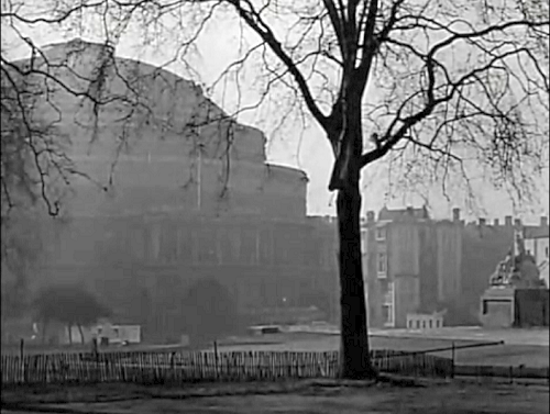 The Royal Albert Hall on Kensington Gore SW7 seen from the, officially named, Prince Consort Memorial. Circa 1953