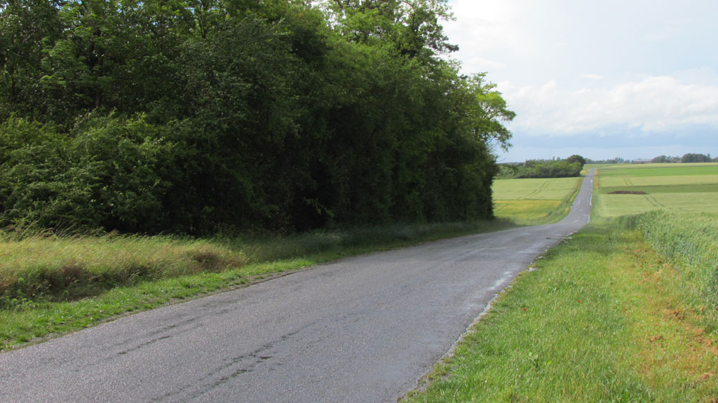 The D14 west of Prenouvellon, France