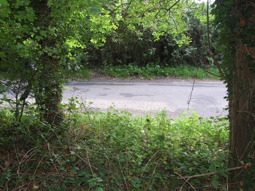 A roadway and the grass verges either side in Hawkswood Lane, Bucks.