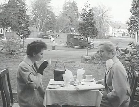 Fantail Restaurant on Farnborough Common, Locksbottom near Orpington. Circa 1954