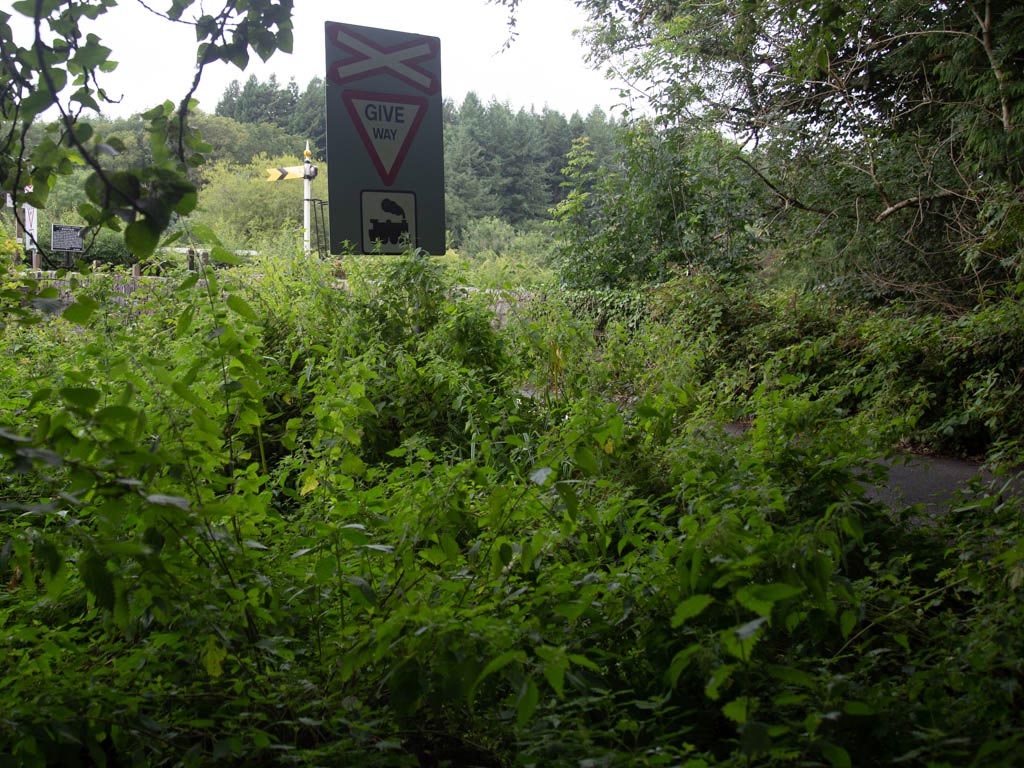 Nappers Crossing, on the Totnes to Ashburton South Devon Railway