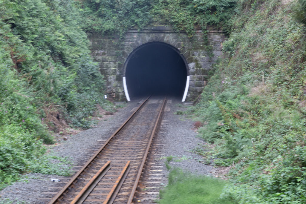 Birchen Coppice Cutting at the Kidderminster end of Bewdley Tunnel on the Severn Valley Railway in Worcestershire.