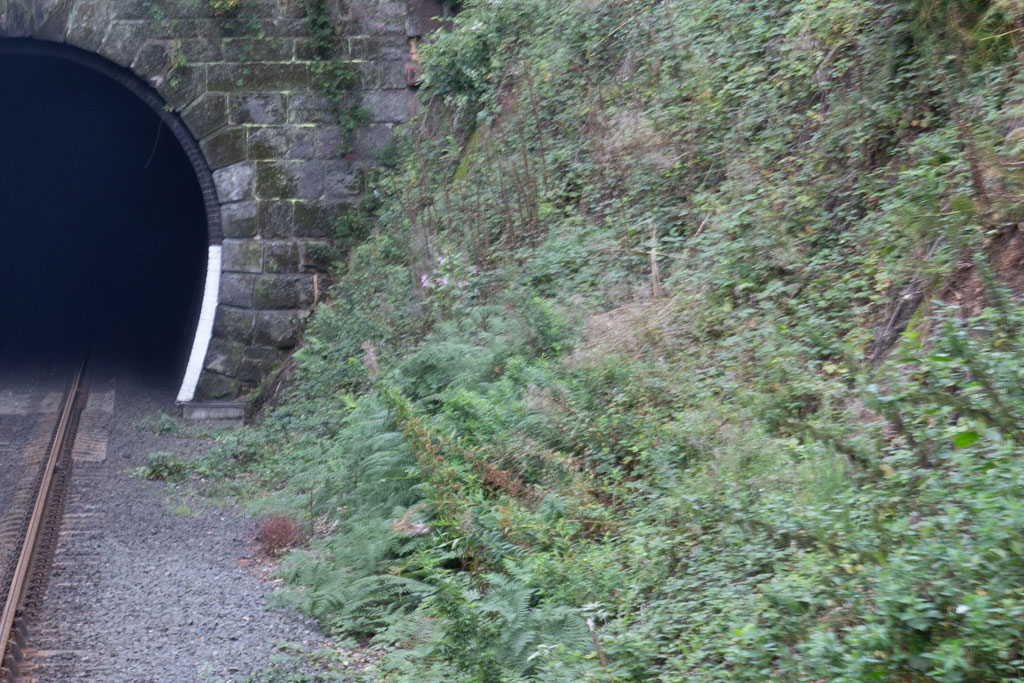 Birchen Coppice Cutting at the Kidderminster end of Bewdley Tunnel on the Severn Valley Railway in Worcestershire.