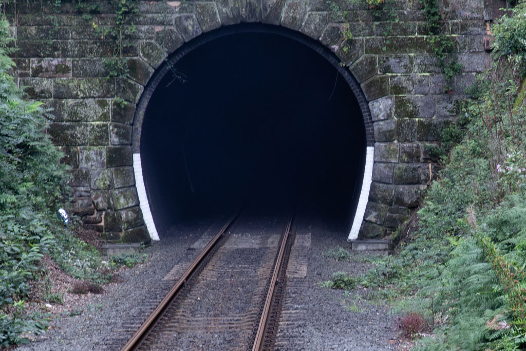 Birchen Coppice Cutting at the Kidderminster end of Bewdley Tunnel on the Severn Valley Railway in Worcestershire.