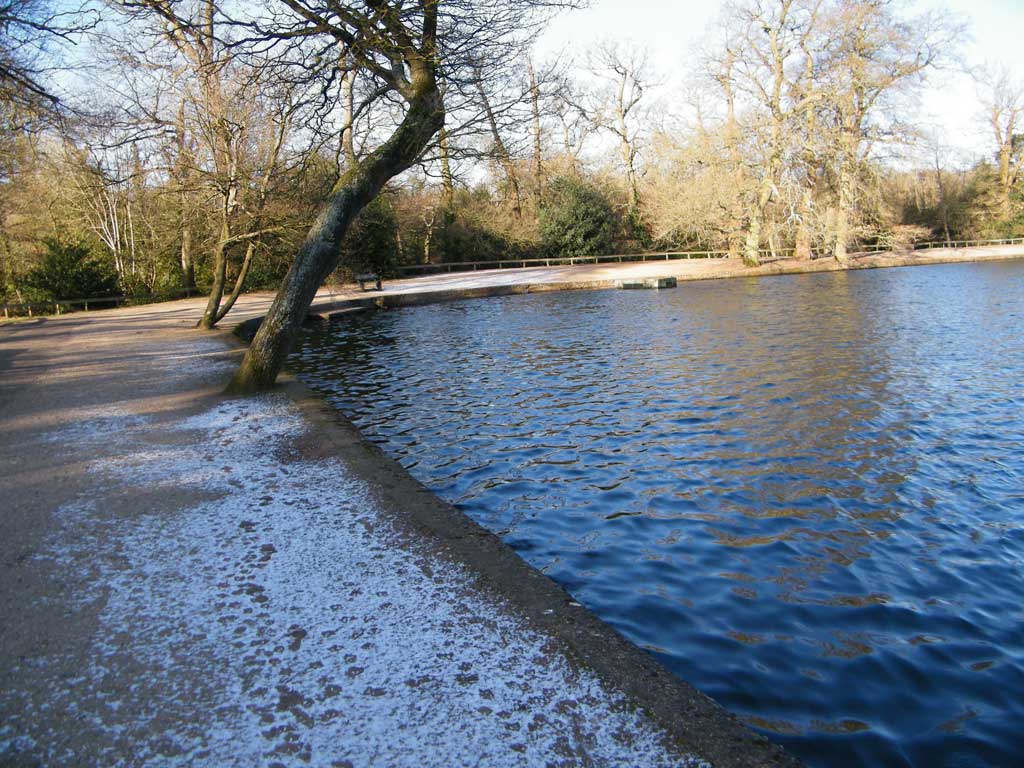 A lake and some bank with trees.