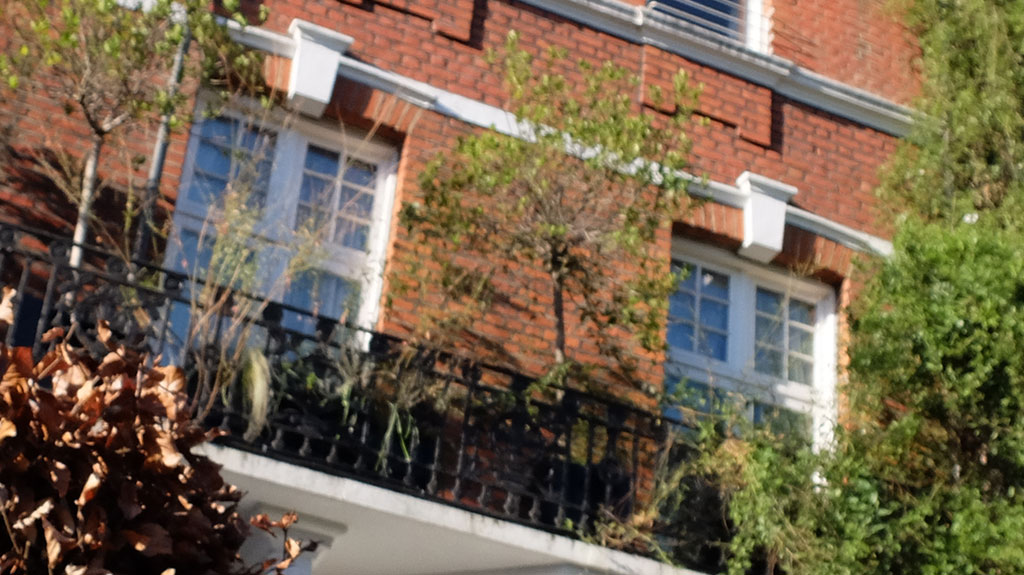 99 Albert Bridge Road, London