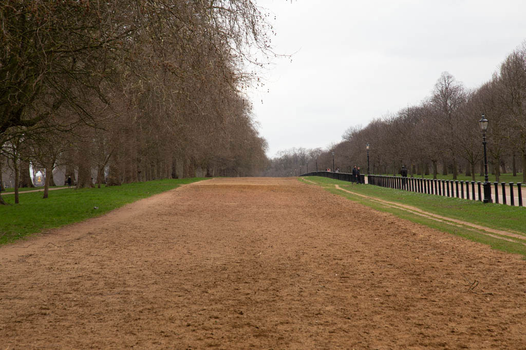Rotten Row in Hyde Park, London W2.