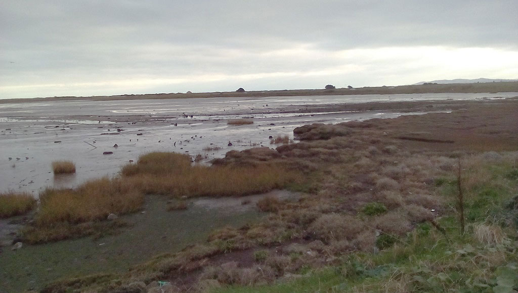 The shores of the north lagoon between Raheny and Bull Island to the north-east of Dublin