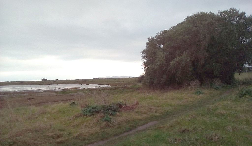 The pathway alongside James Larkin Road in Raheny
