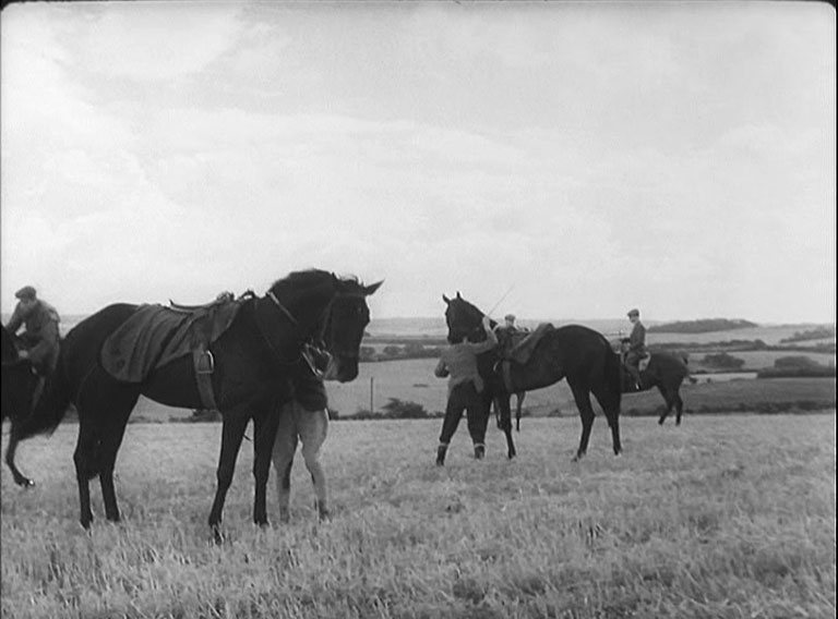 Four horses with their trainers with rolling down as a background.