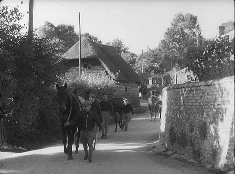 Horse trainers leading their charge up a country lane towards camera and with a thatched cottage to the left of shot.