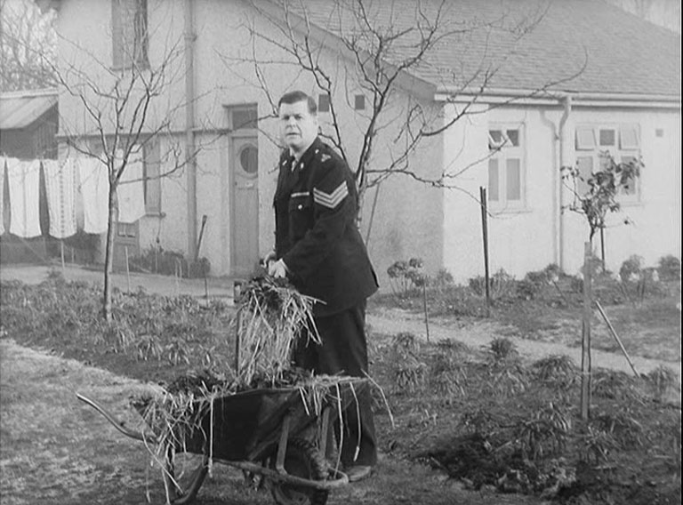 A police sergeant in uniform looking at camera whilst forking hay or straw from a wheelbarrow with a bungalow as background.