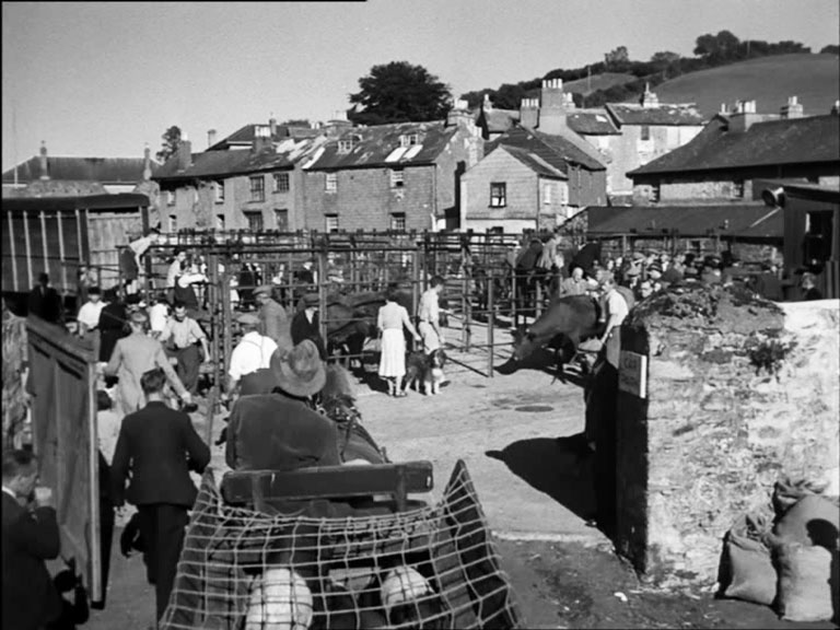 Ashburton, Devon Market was on the south side of Vealenia Terrace Circa 1950