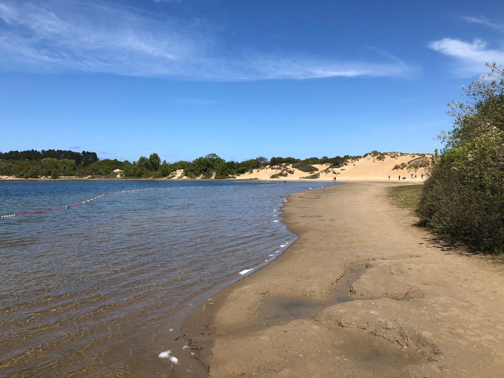 The lake in National Park Zuid-Kennemerland called "Het Wed"