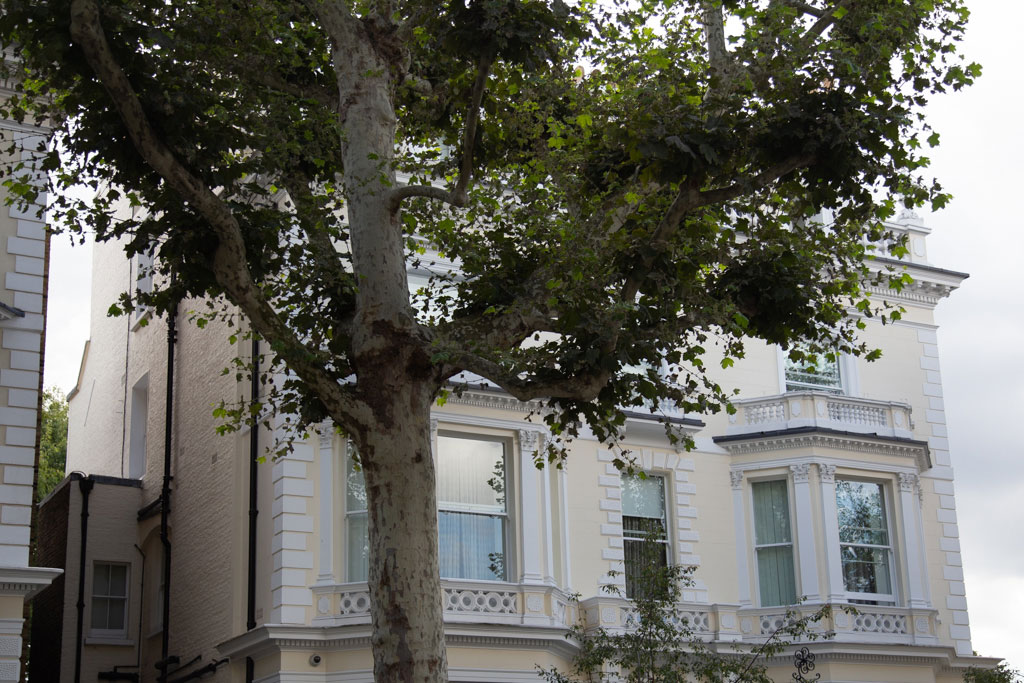 14 Holland Park, London W11.