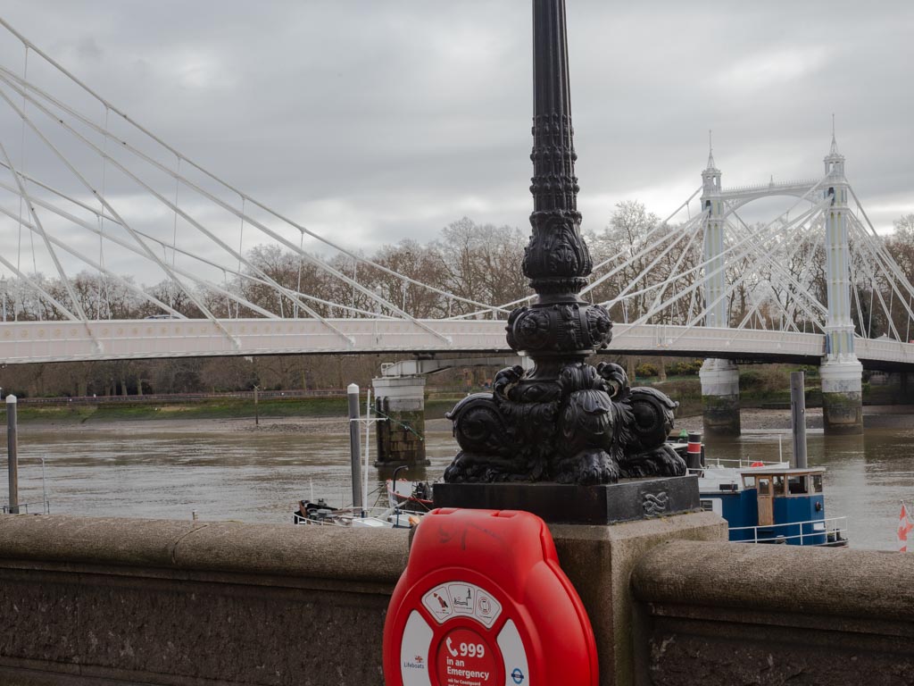 Albert Bridge from Chelsea Embankment