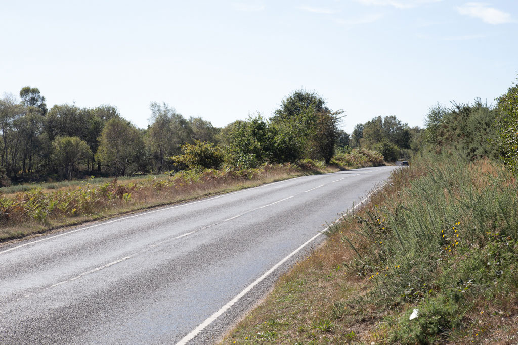Chobham Common, Staple Hill, Chobham, Chertsey, Surrey
