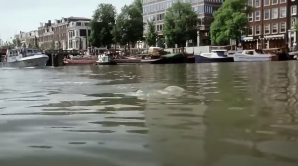 Hoge sluis in the background viewed from the Sarphatikade. Circa 1988
