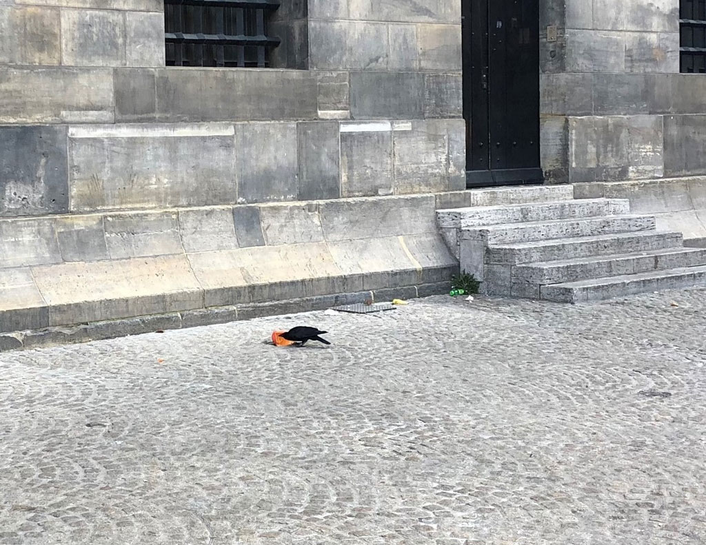 The royal palace on the Dam, Amsterdam.