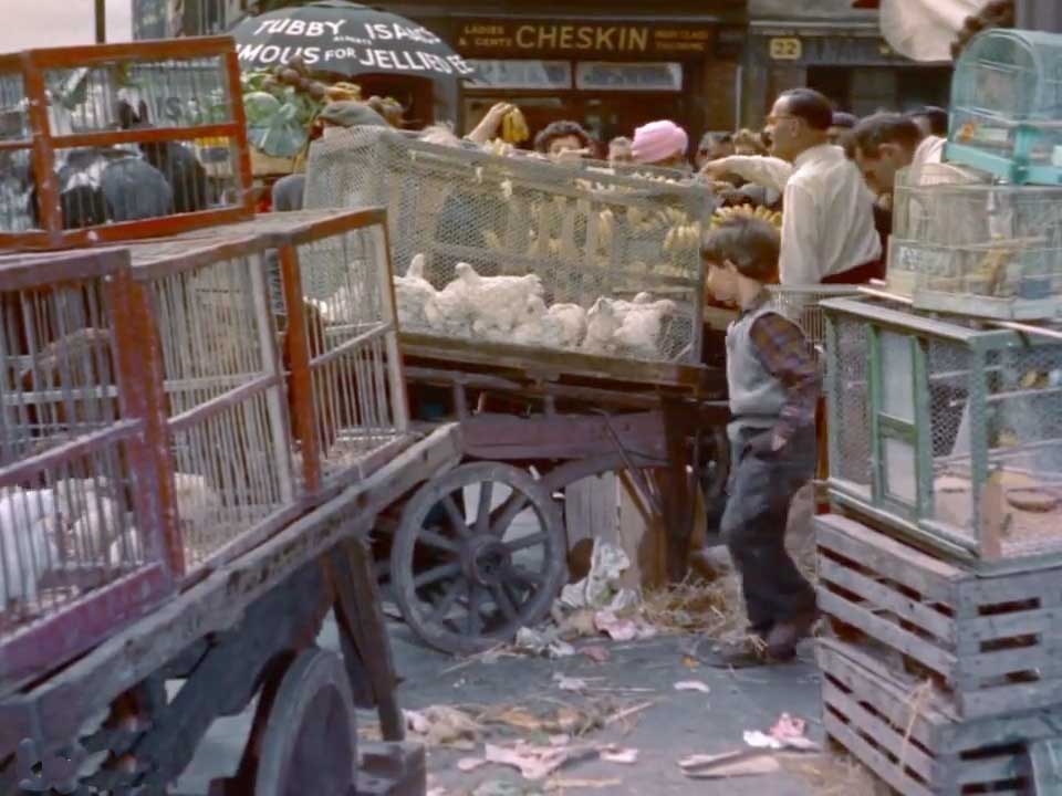 ‘Cheskin’ being at 7 Bell Lane, London E1. Circa 1955