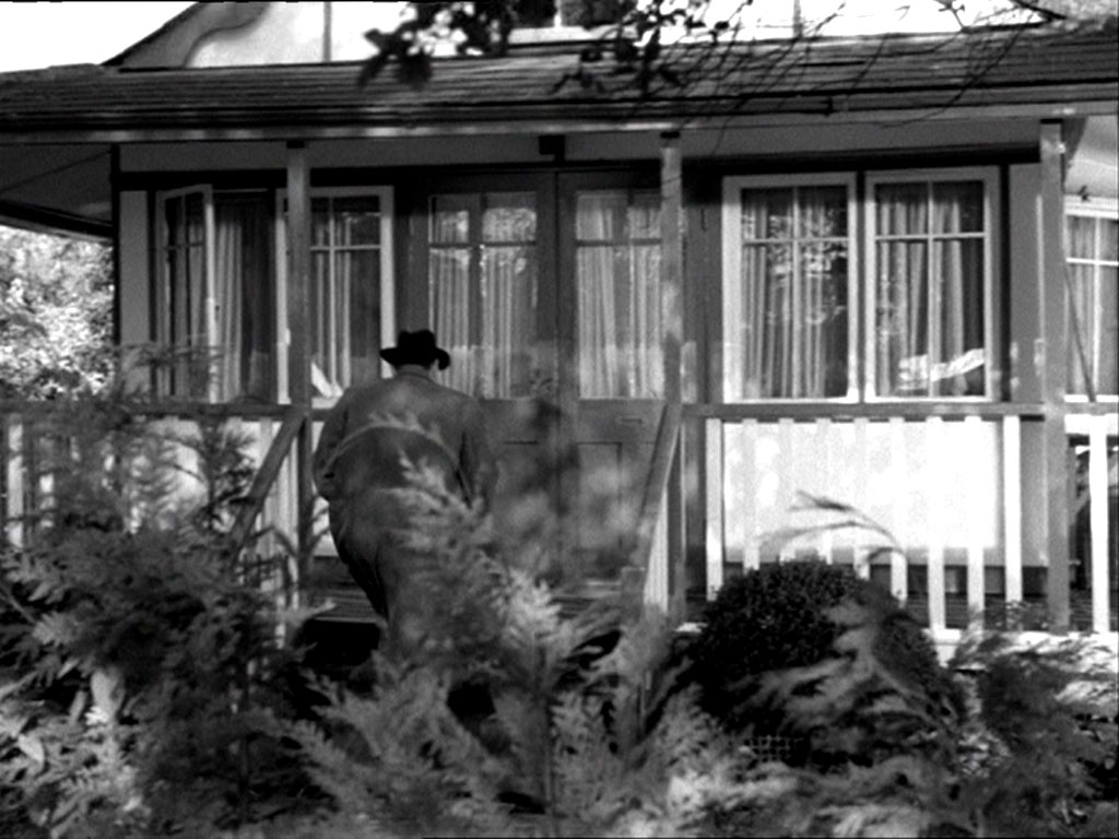 Pear Tree Bungalow Circa 1956