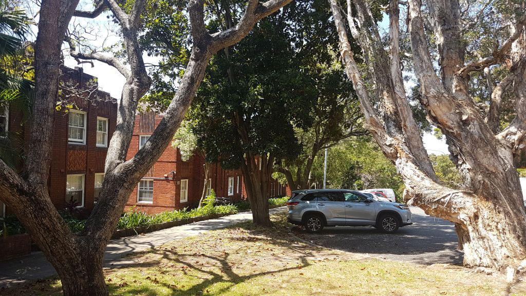 McDougall St, Sydney