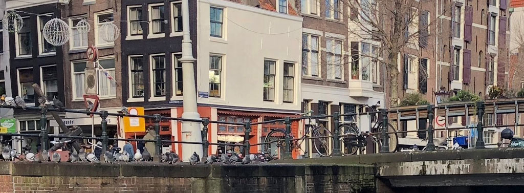 ntersection Haarlemmerstraat and Korte Prinsengracht