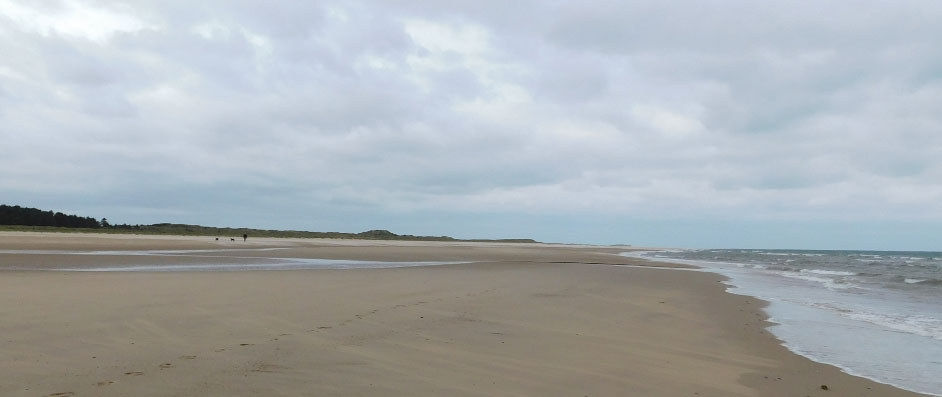 Holkham Beach in Norfolk.