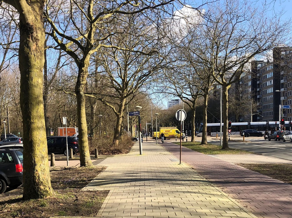 Van Nijenrodeweg, Amsterdam