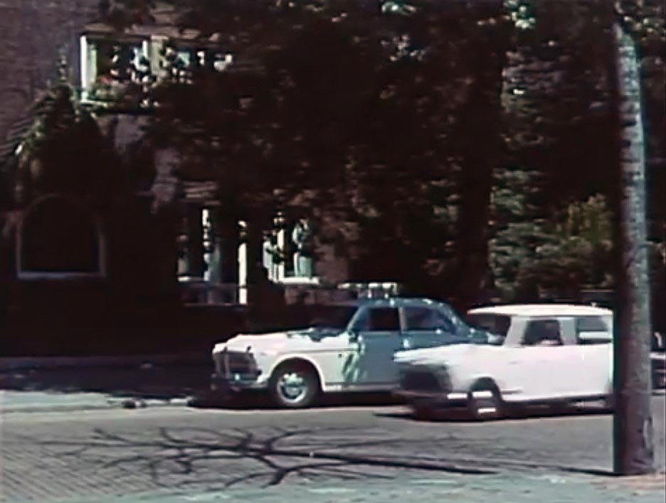 pollolaan, Amsterdam. Circa 1971