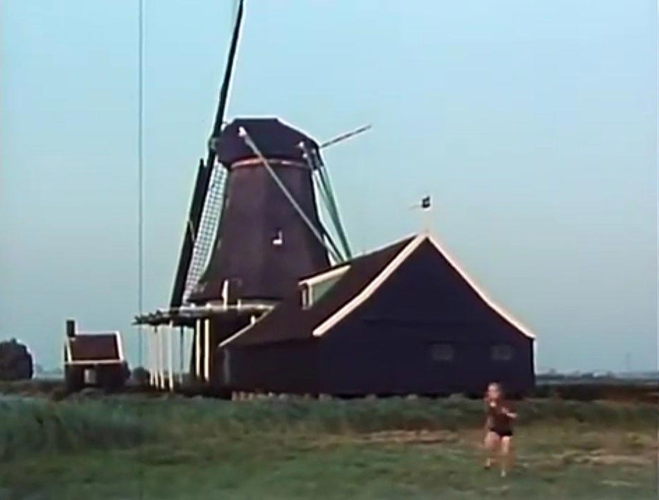 Molen Het Prinsenhof, Relkepad 3, Westzaan Circa 1971
