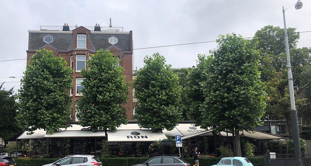 Sophialaan 55, Amsterdam