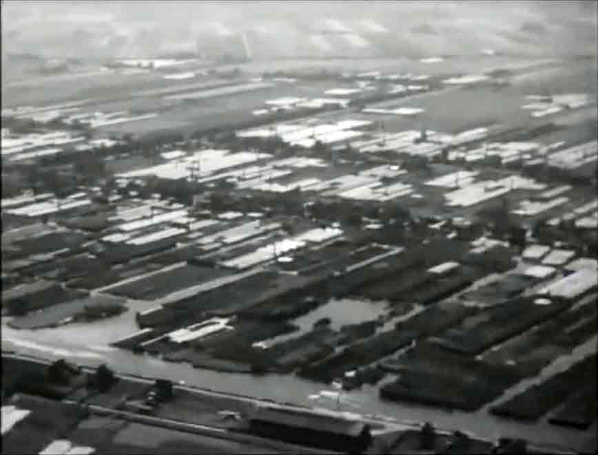 Aalsmeer. Circa 1948