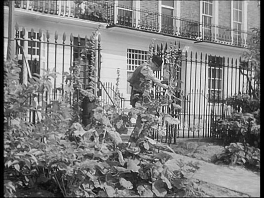 Markham Square Gardens, 37 and 38 Markham Square, London SW3 in the background. Circa 1958