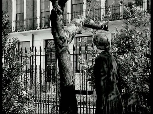 Markham Square Gardens, number 37 Markham Sq in the background Circa 1958