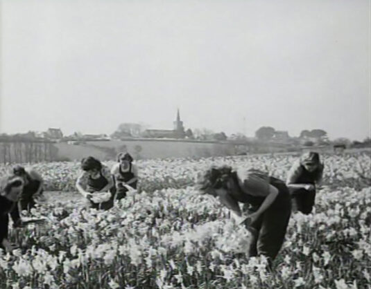 St Keverne church in the background with the house called ‘Pendennis’ with two roof top windows on the left horizon. Viewed from the south. Circa 1949