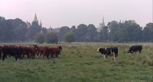 Christ Church Meadow looking towards Christ Church Cathedral to the left and the dome of the Radcliffe Camera with the spire of University Church of St Mary the Virgin to the right. CircA 1967