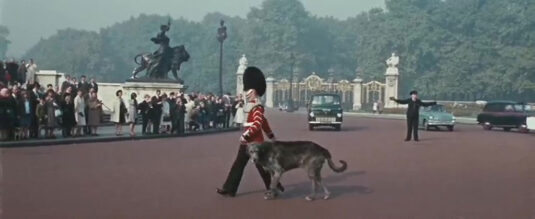 regiments mascot dog, Irish wolfhound ‘Shaun’. Canada Gate in the background. Circa 1966