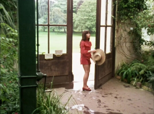 A greenhouse, Kew Gardens. Royal Botanic Gardens, Kew. Circa 1968