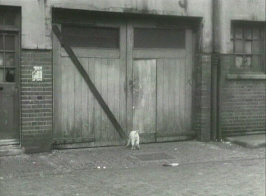‘what3words’ - move.digit.bucked Blackburne's Mews.